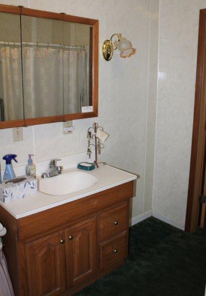 11700 Lincoln Road Morrison, IL 61270 - Photo 20 of 45 a bathroom with a sink and a mirror
