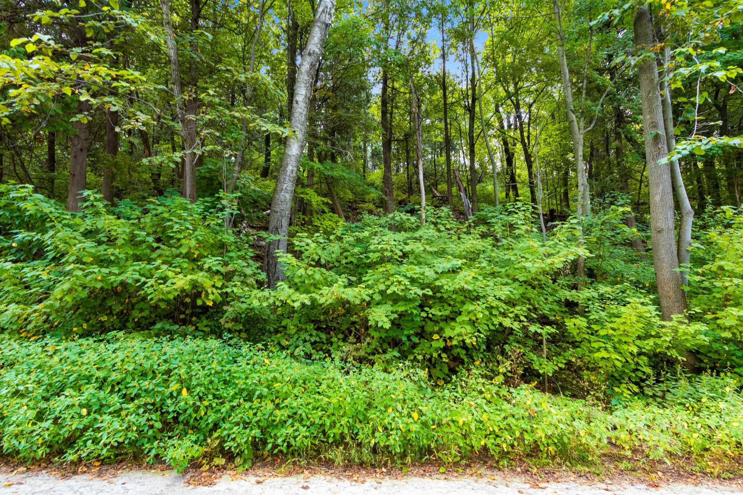 5361 Edgewater Beach Road Green Bay, WI 54311 - Photo 6 of 15