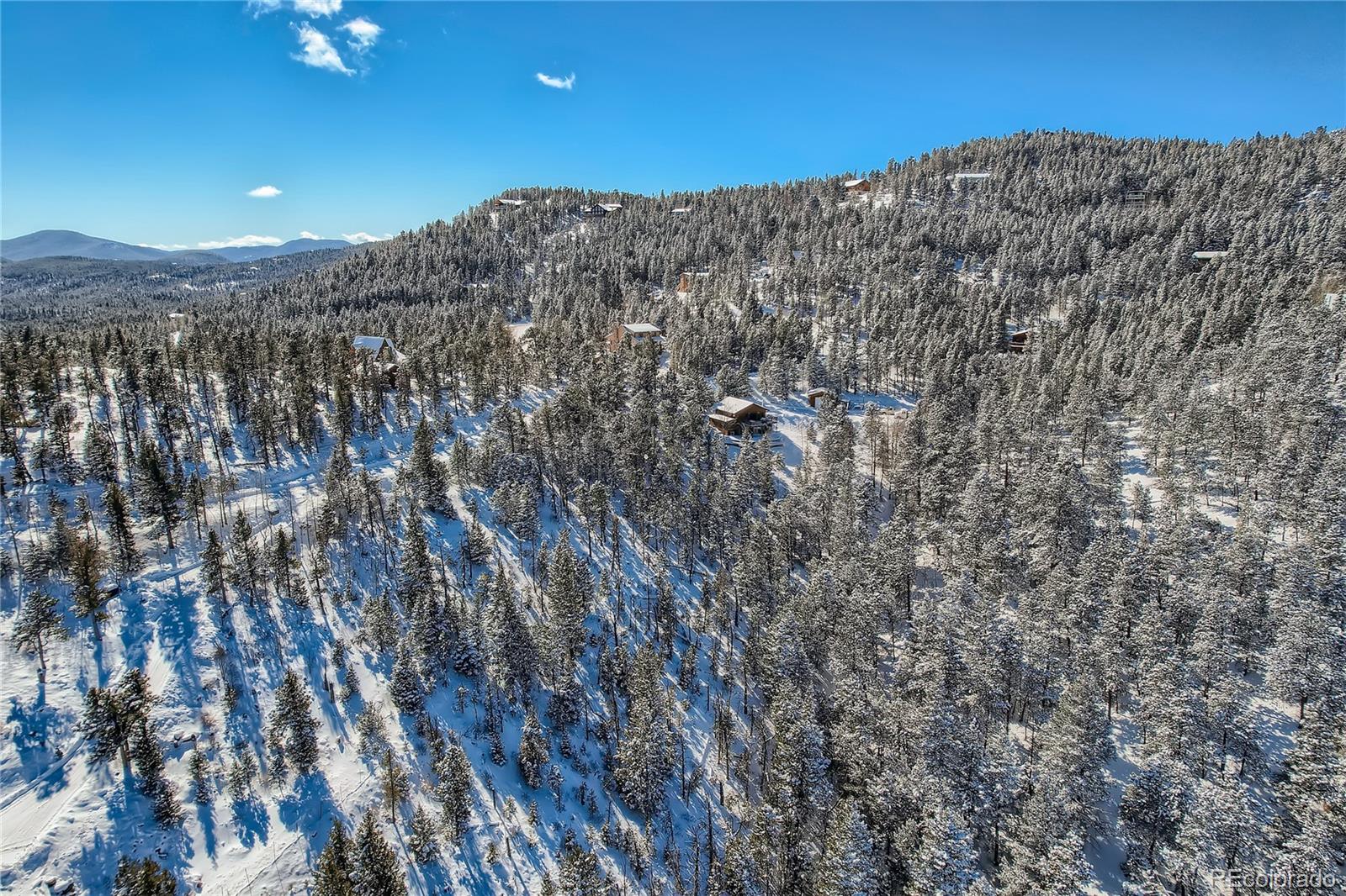 33150 Janelle Circle Golden, CO 80403 - Photo 7 of 11