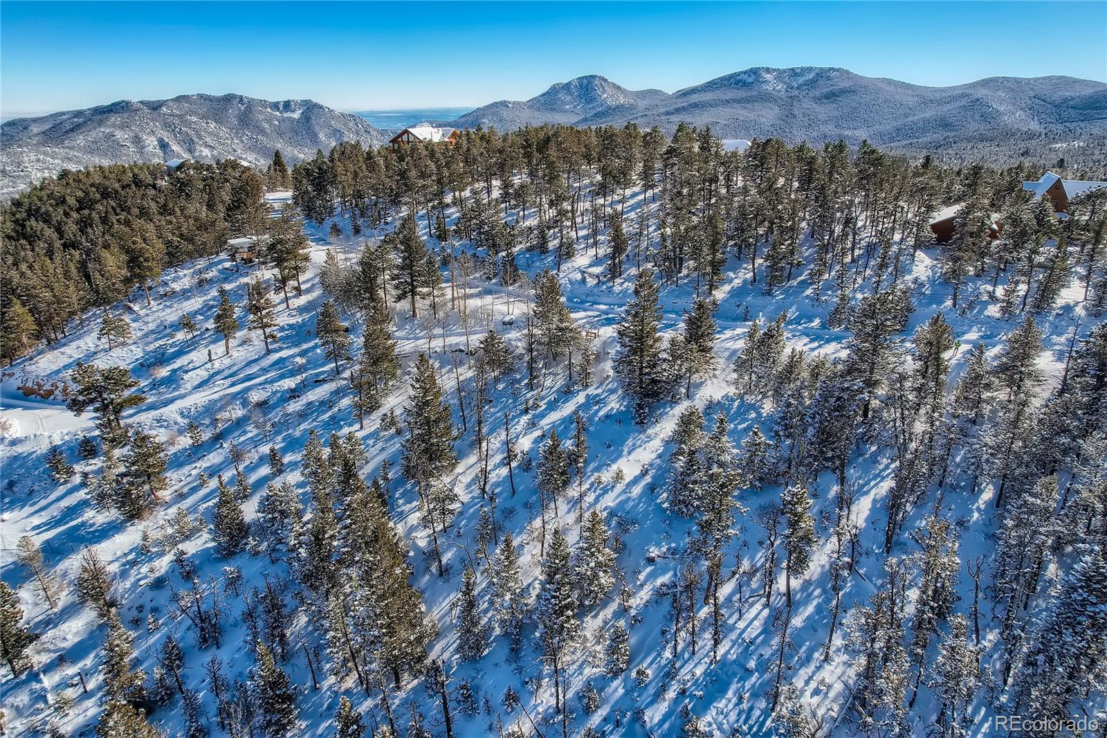 33150 Janelle Circle Golden, CO 80403 - Photo 9 of 11