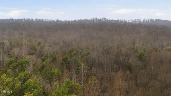 $360,000 | 238 Black Locust Road, Jonesville, VA 24263