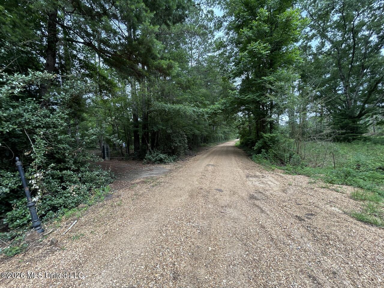 6642 Grange Hall Road Osyka, MS 39657 - Photo 8 of 50 IMG_4354 Large
