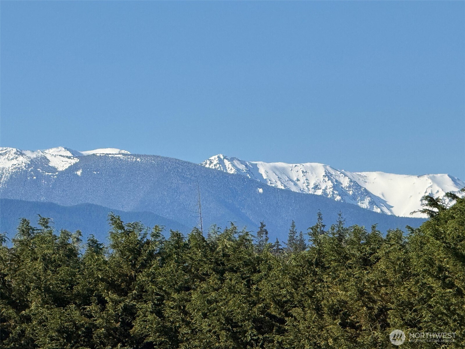 352 Spath Road Sequim, WA 98382 - Photo 35 of 40