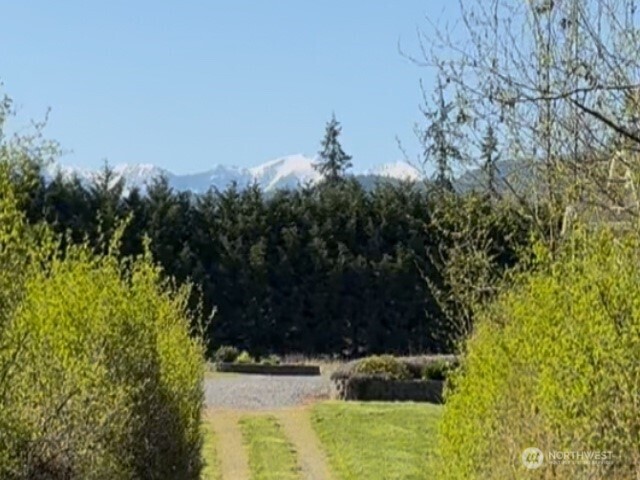 352 Spath Road Sequim, WA 98382 - Photo 6 of 40