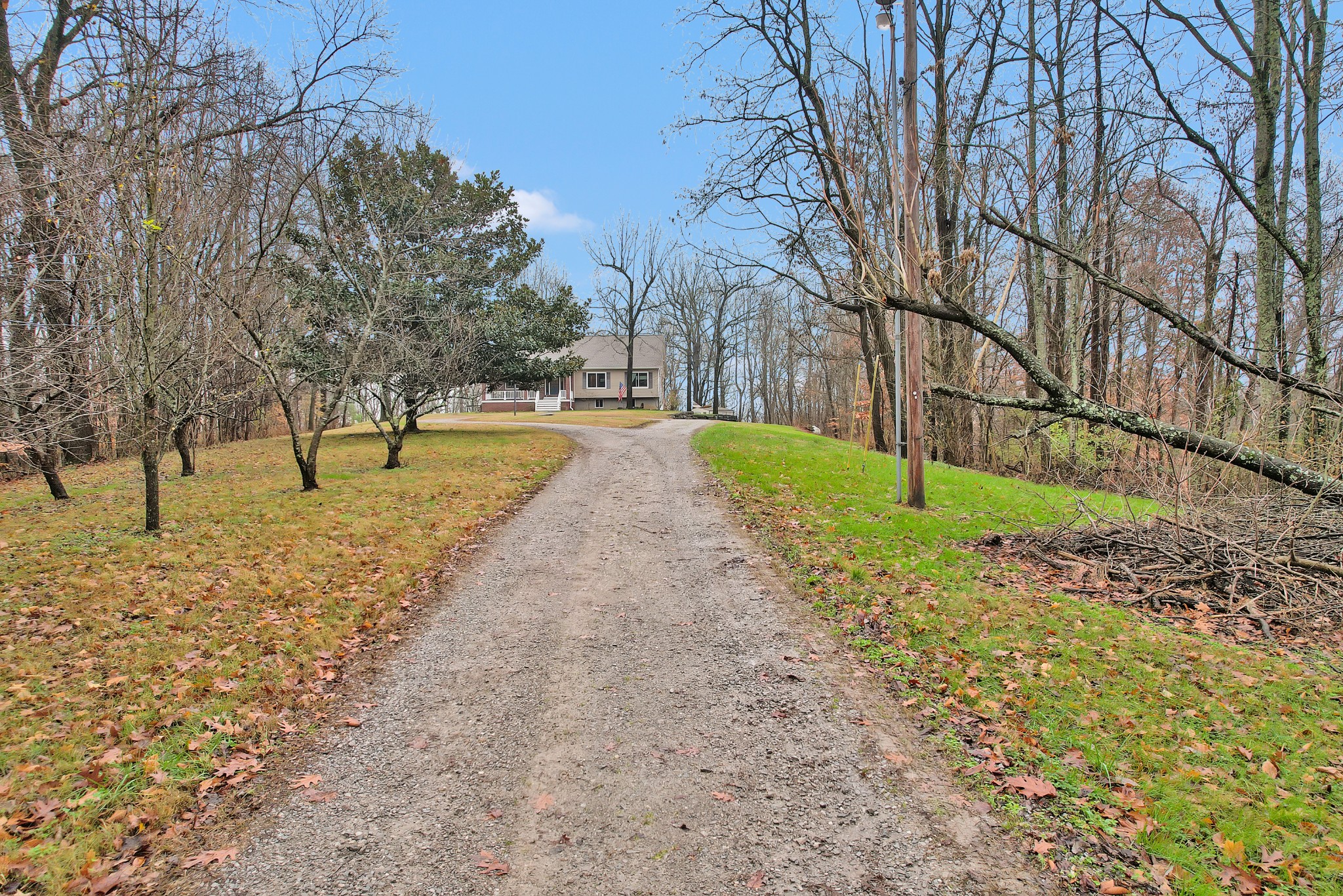 1820 Gravel Hill Road Columbia, TN 38401 - Photo 3 of 37 a view of a yard with a tree