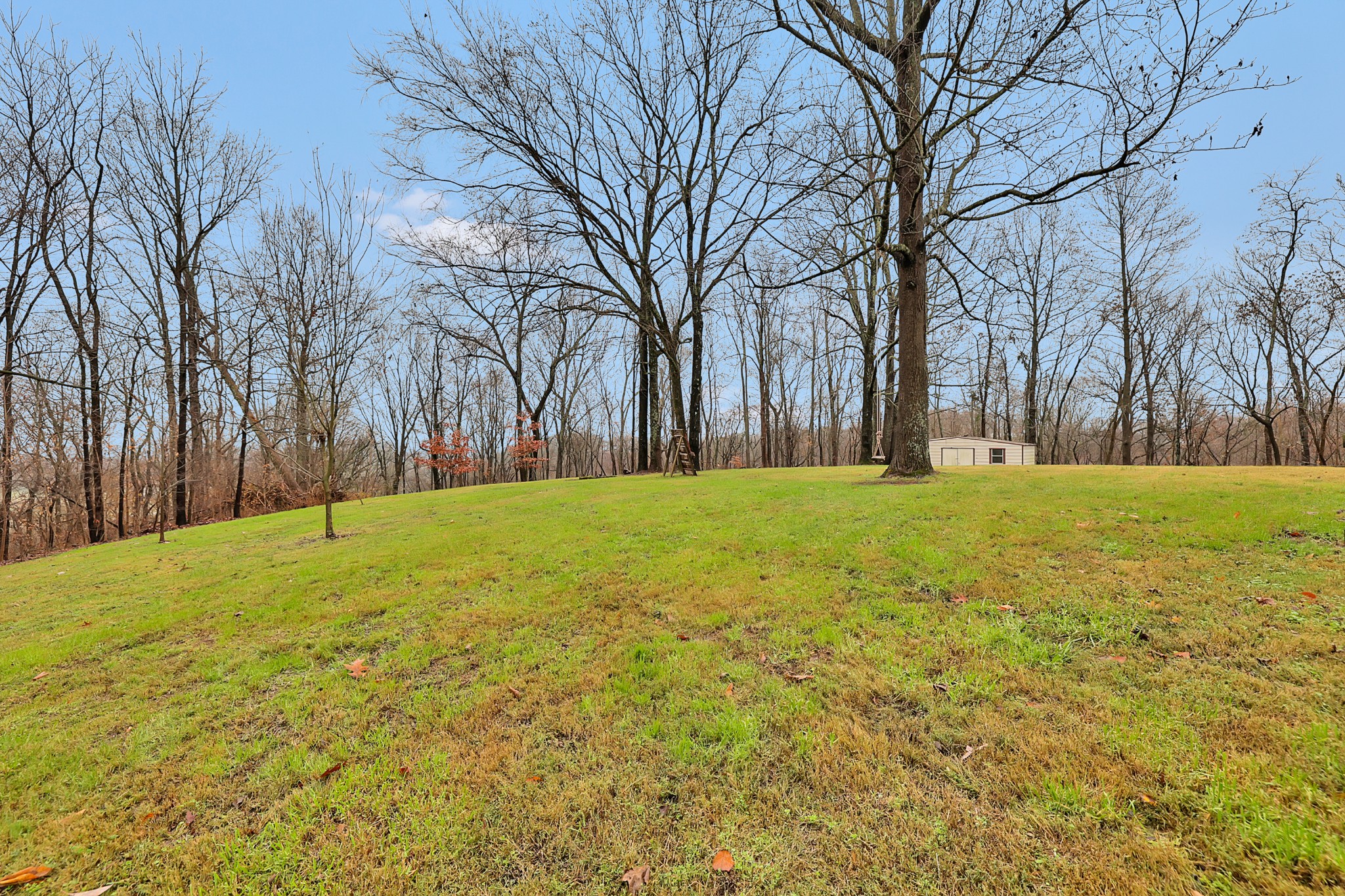 1820 Gravel Hill Road Columbia, TN 38401 - Photo 33 of 37 a view of swimming pool with trees