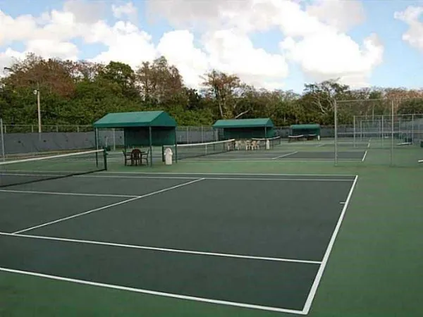 a view of a tennis ground with large trees