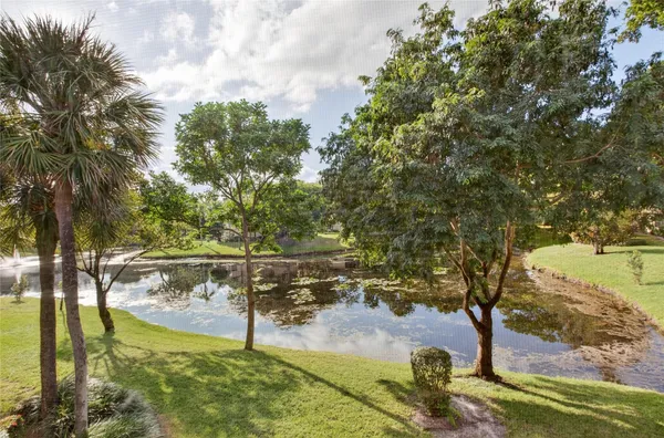 a view of a lake with a trees