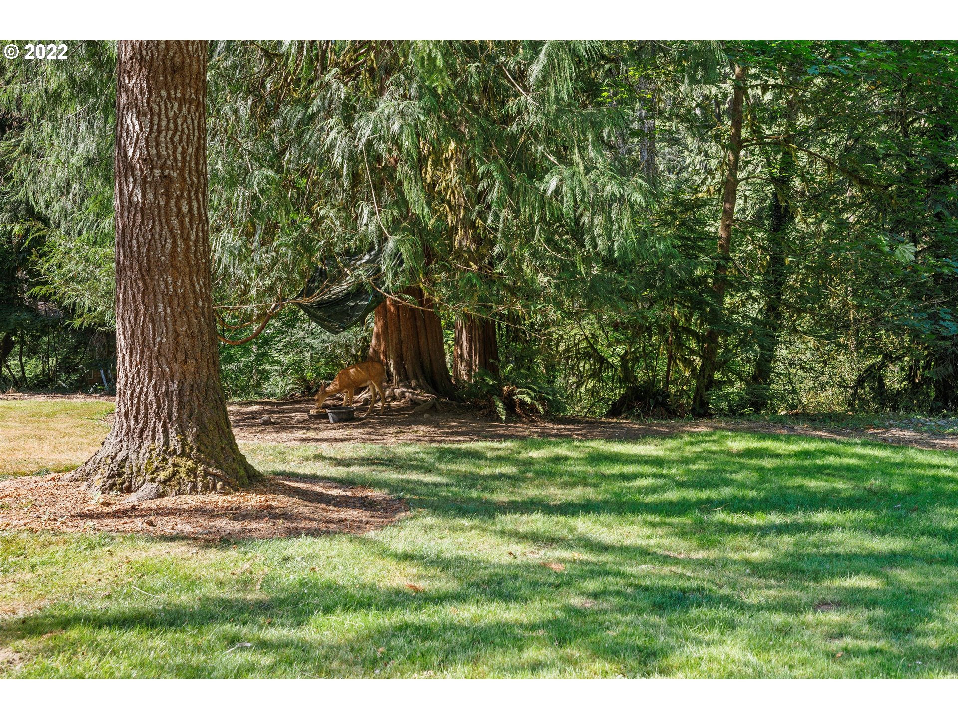 27063 East Welches Road Welches, OR 97067 - Photo 25 of 30 Gallery Image 25