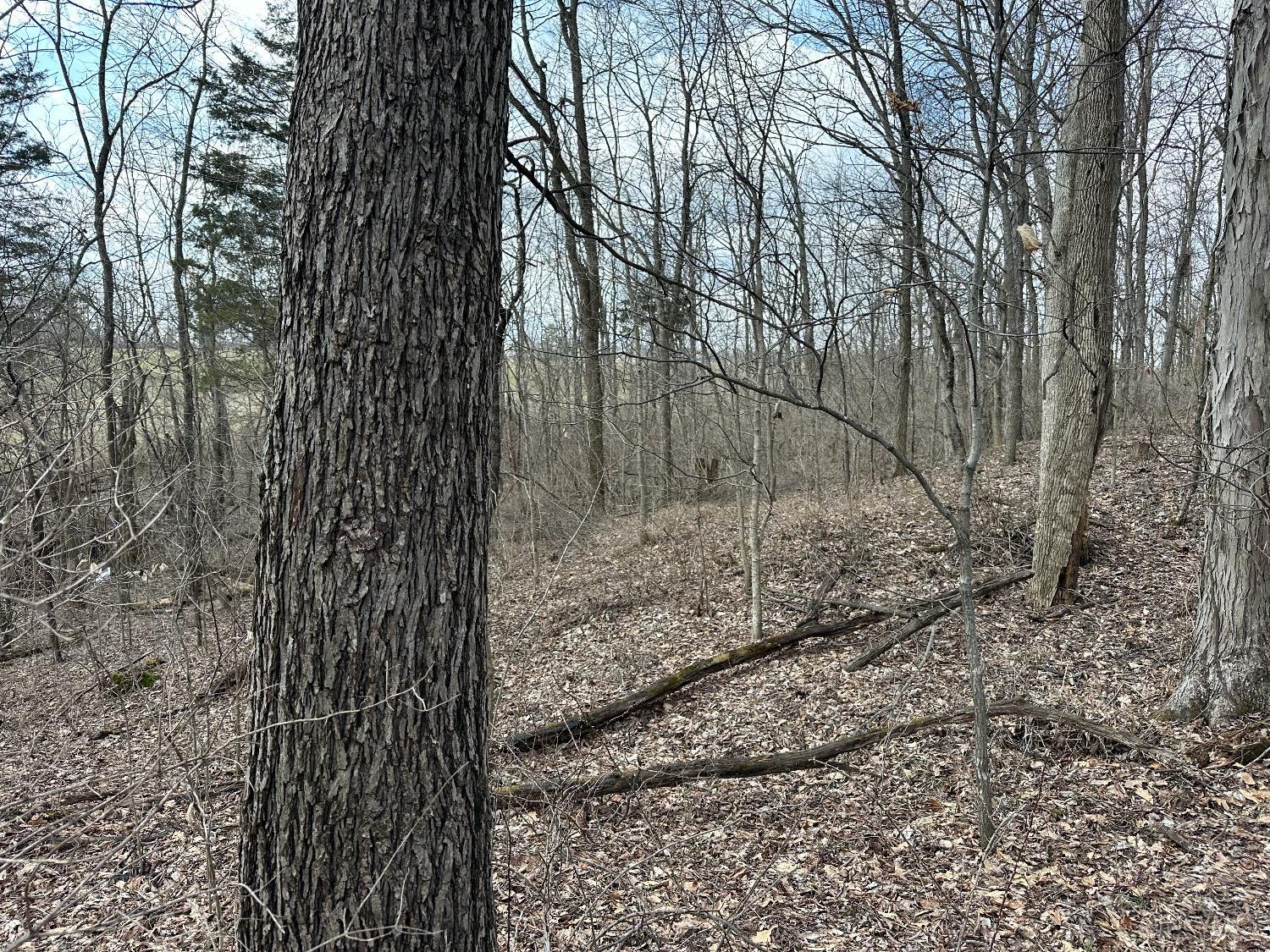 0 Wilson Road Winchester, OH 45697 - Photo 61 of 69