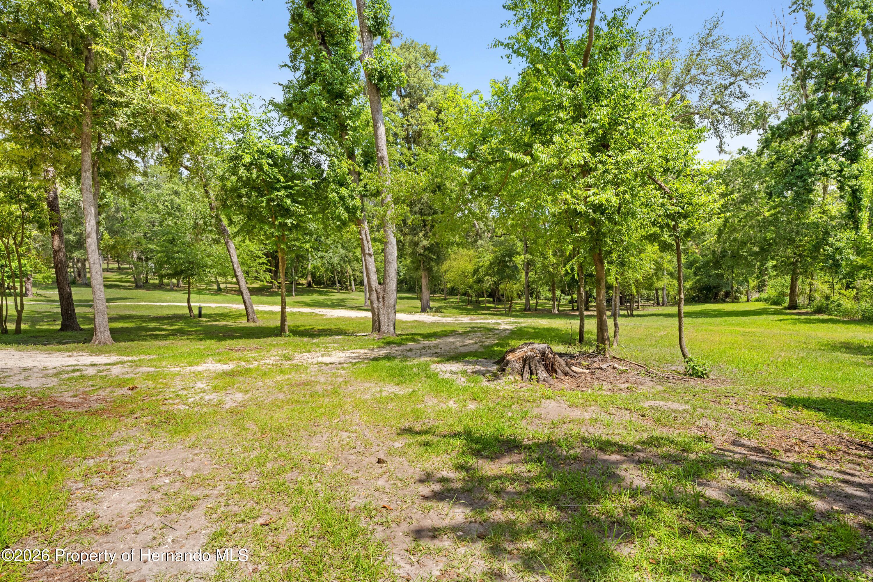 3311 Baseball Pond Road Brooksville, FL 34602 - Photo 3 of 18 a view of a park with large trees