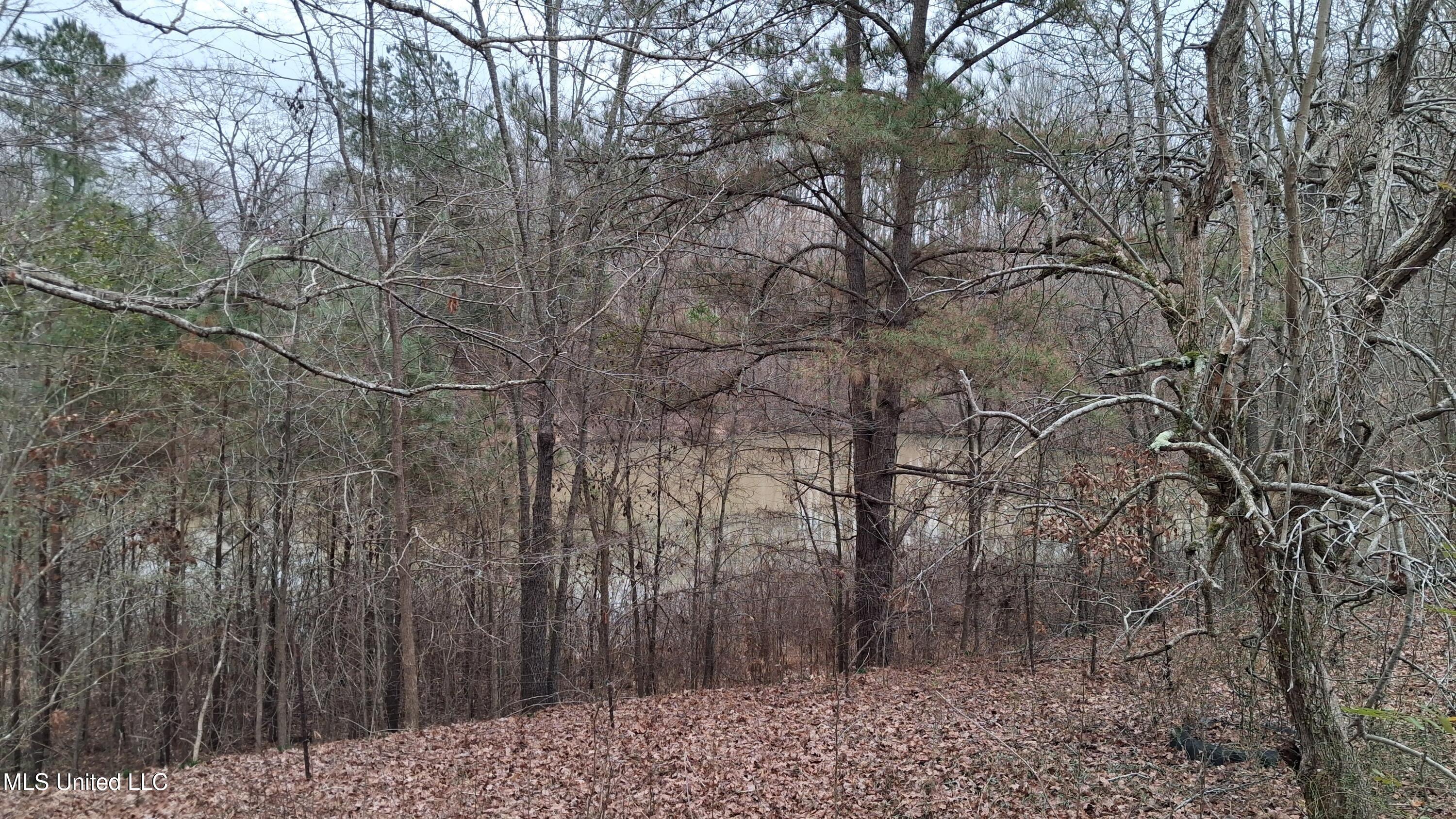 877 South Red Banks Road Holly Springs, MS 38635 - Photo 11 of 40 View of Pond from Shop