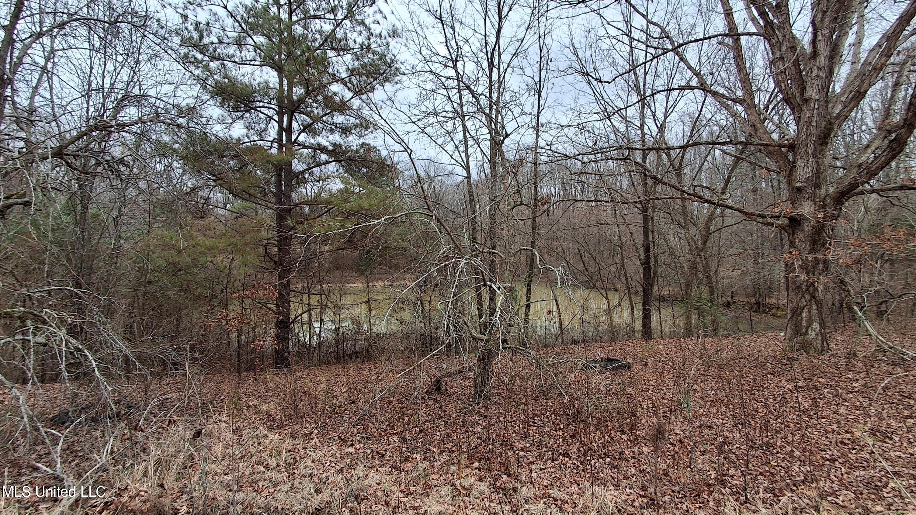 877 South Red Banks Road Holly Springs, MS 38635 - Photo 12 of 40 Pond