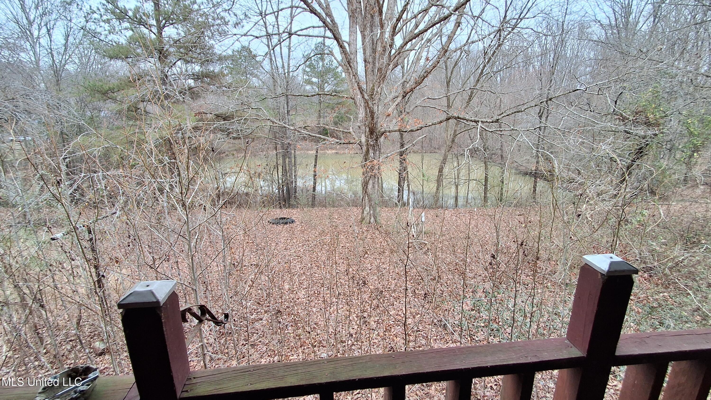 877 South Red Banks Road Holly Springs, MS 38635 - Photo 29 of 40 View of Pond from Deck