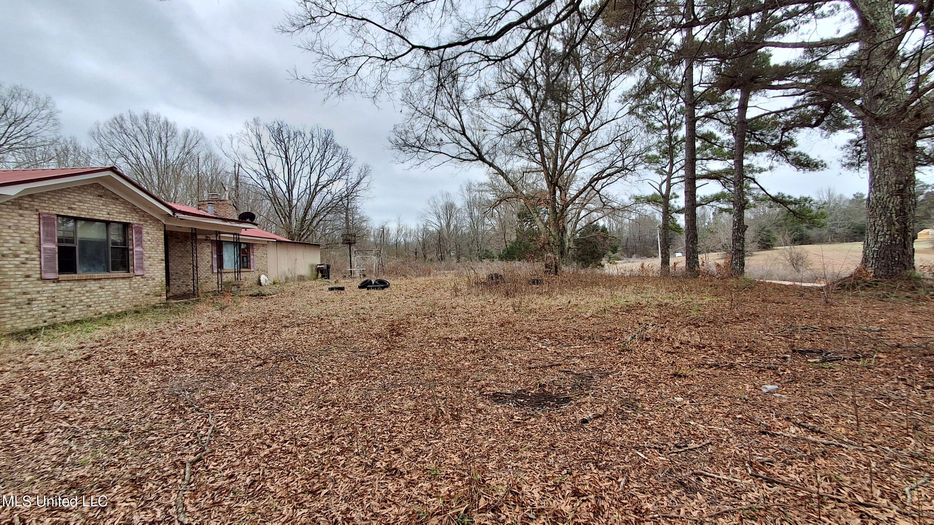 877 South Red Banks Road Holly Springs, MS 38635 - Photo 5 of 40 Front Yard