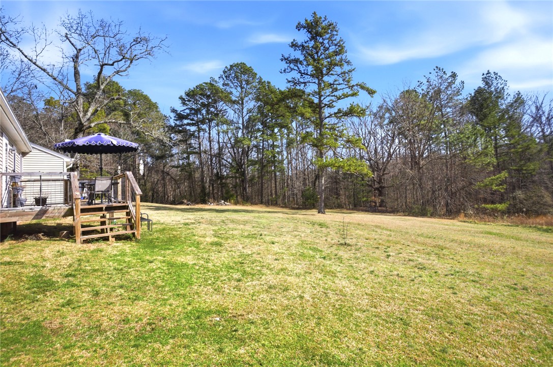 158 State Rd S-37-175 Seneca, SC 29672 - Photo 36 of 43 This verdant expanse offers ample room for outdoor activities, perfect for relaxation or recreation.