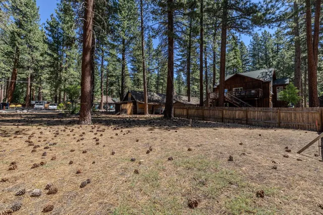 a view of a backyard with large trees and wooden fence