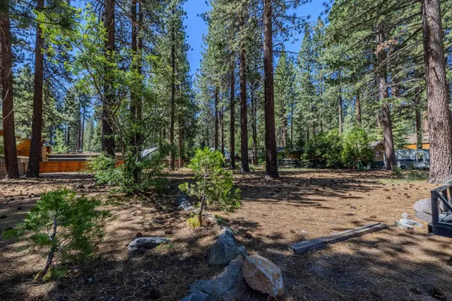 a view of a tree in the middle of a yard