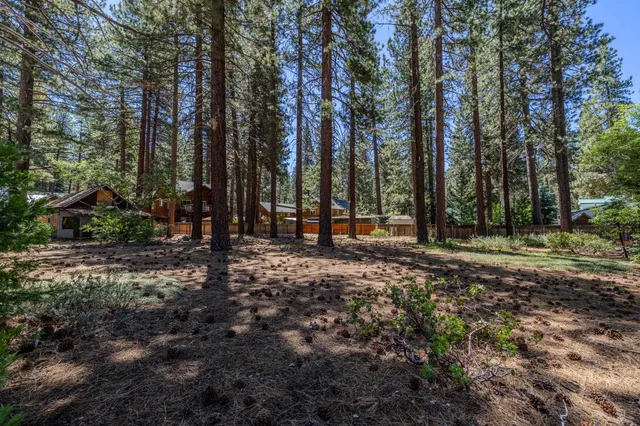 a view of outdoor space with trees
