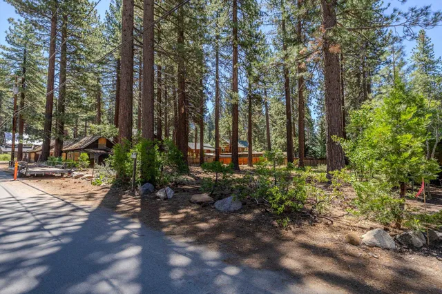 a view of outdoor space with lots of trees