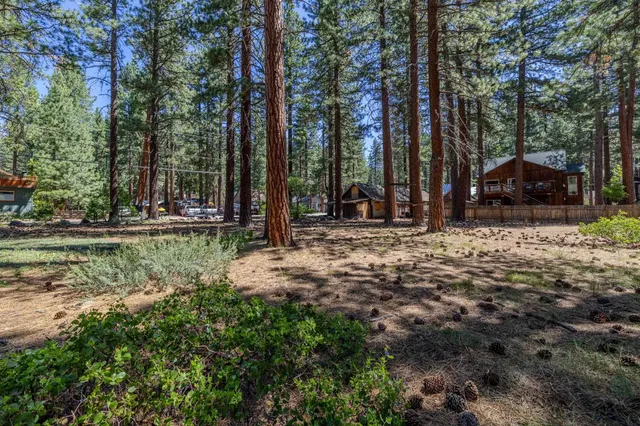a backyard of a house with lots of green space and fountain