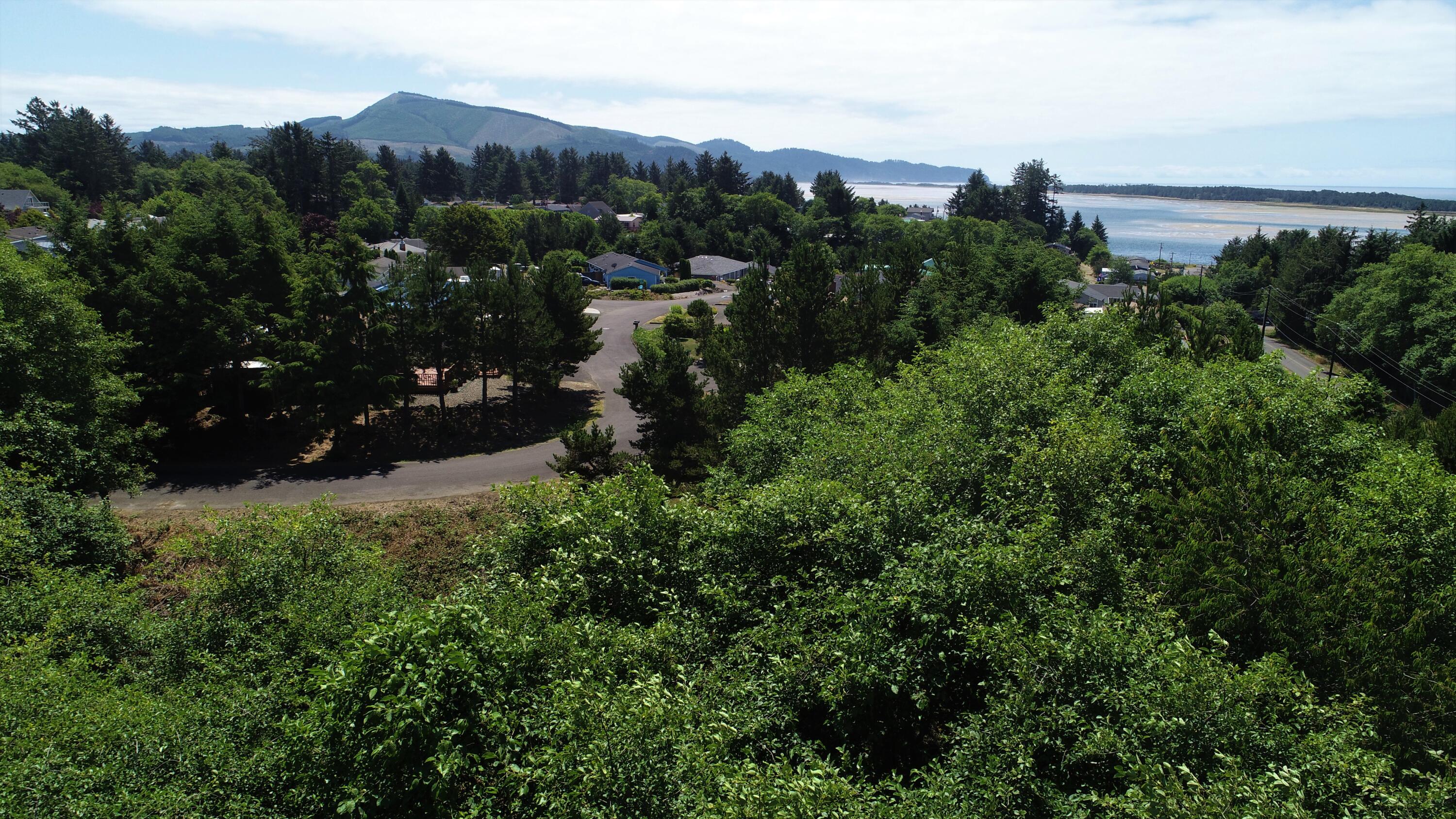 4100 Orchard Loop Tillamook, OR 97141 - Photo 7 of 8 Lot with Bay