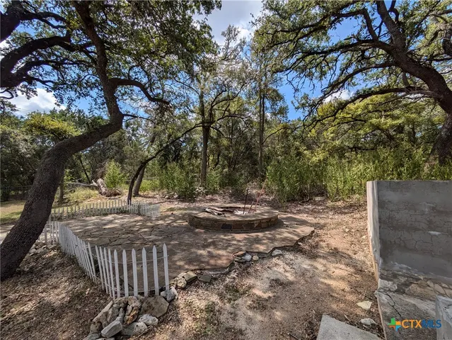 a view of a yard with plants and large trees