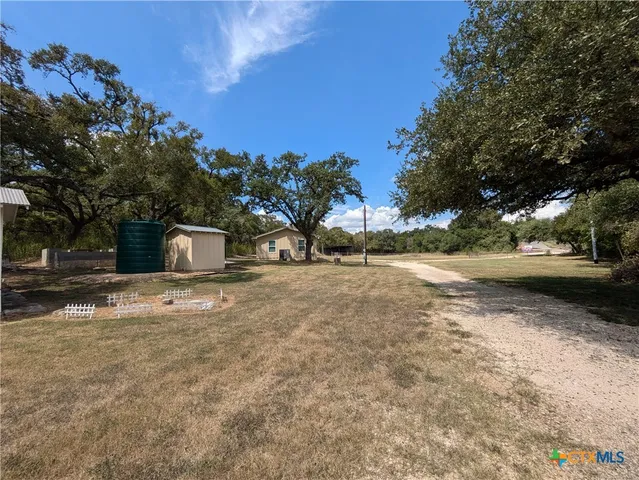 a view of a large trees with a yard