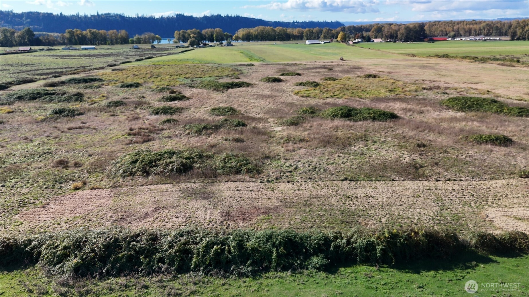 151 Barlow Point Road Longview, WA 98632 - Photo 4 of 34 a view of a field with an ocean