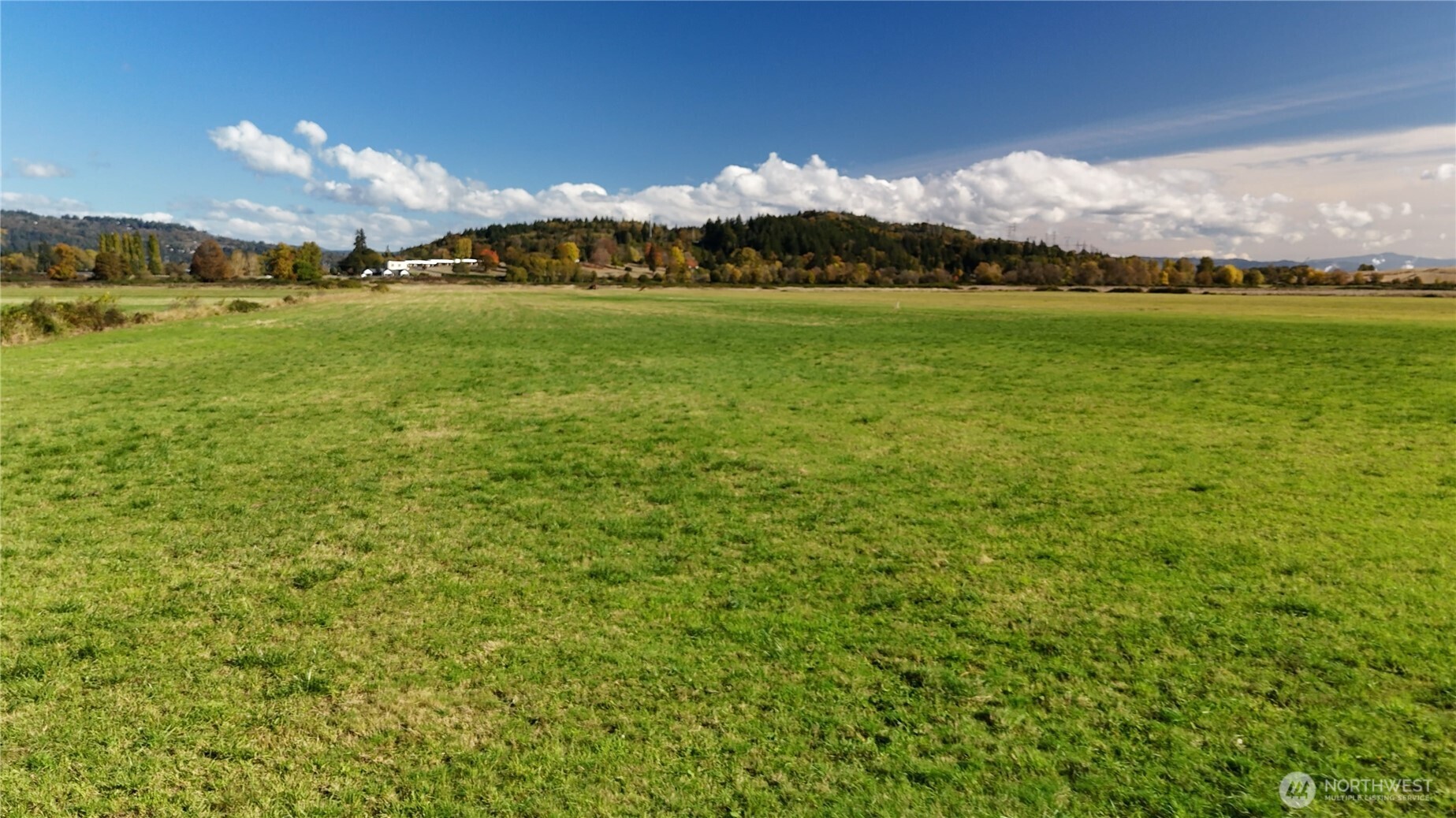 151 Barlow Point Road Longview, WA 98632 - Photo 5 of 34 a view of an ocean and a mountain