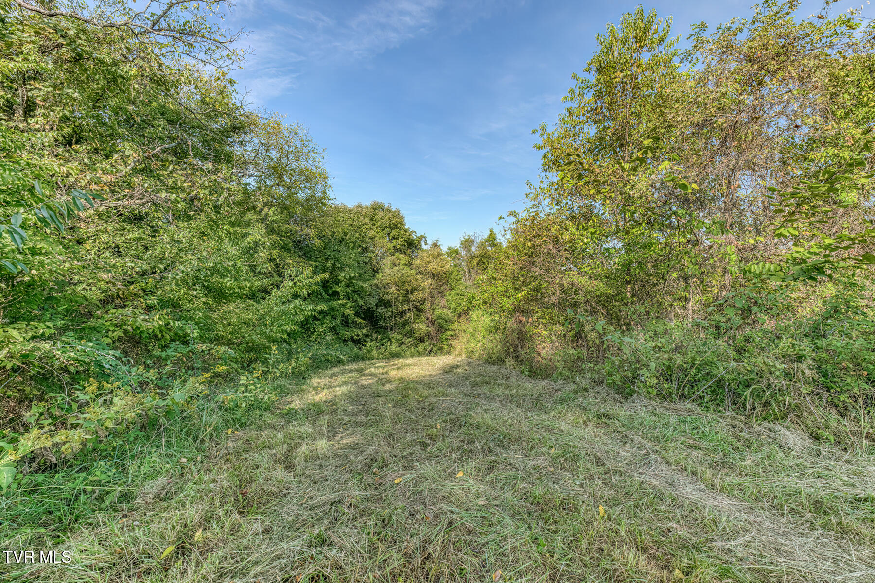1680 Old Milburnton Road Limestone, TN 37681 - Photo 51 of 62 1680 Old Milburnton Rd-54
