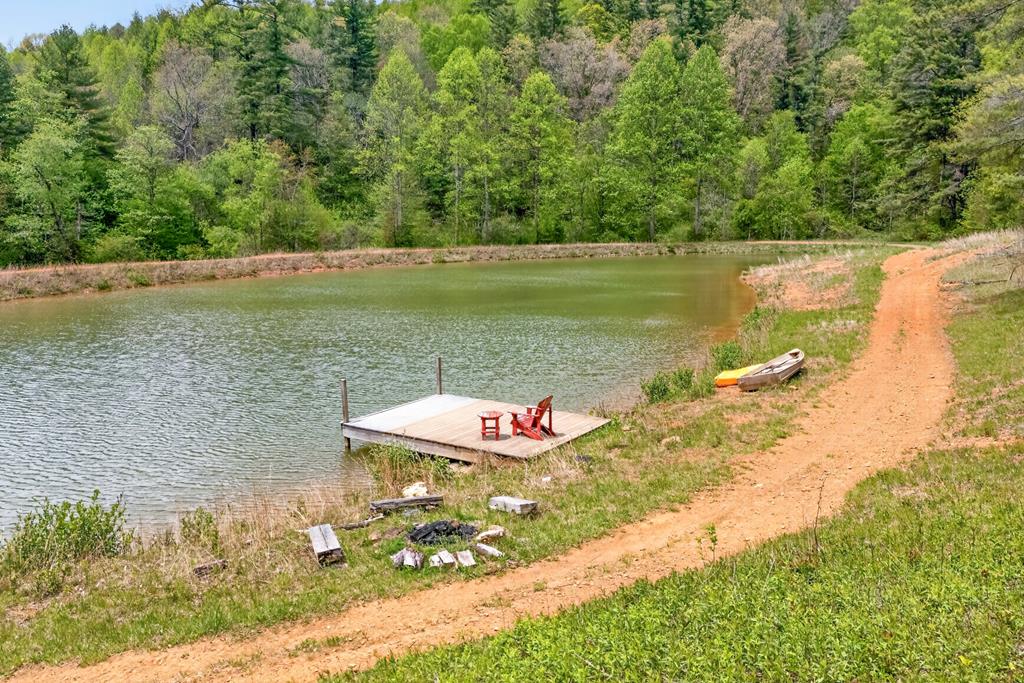1768 Shelor Road Southwest Meadows Of Dan, VA 24120 - Photo 17 of 92 Gallery Image 17