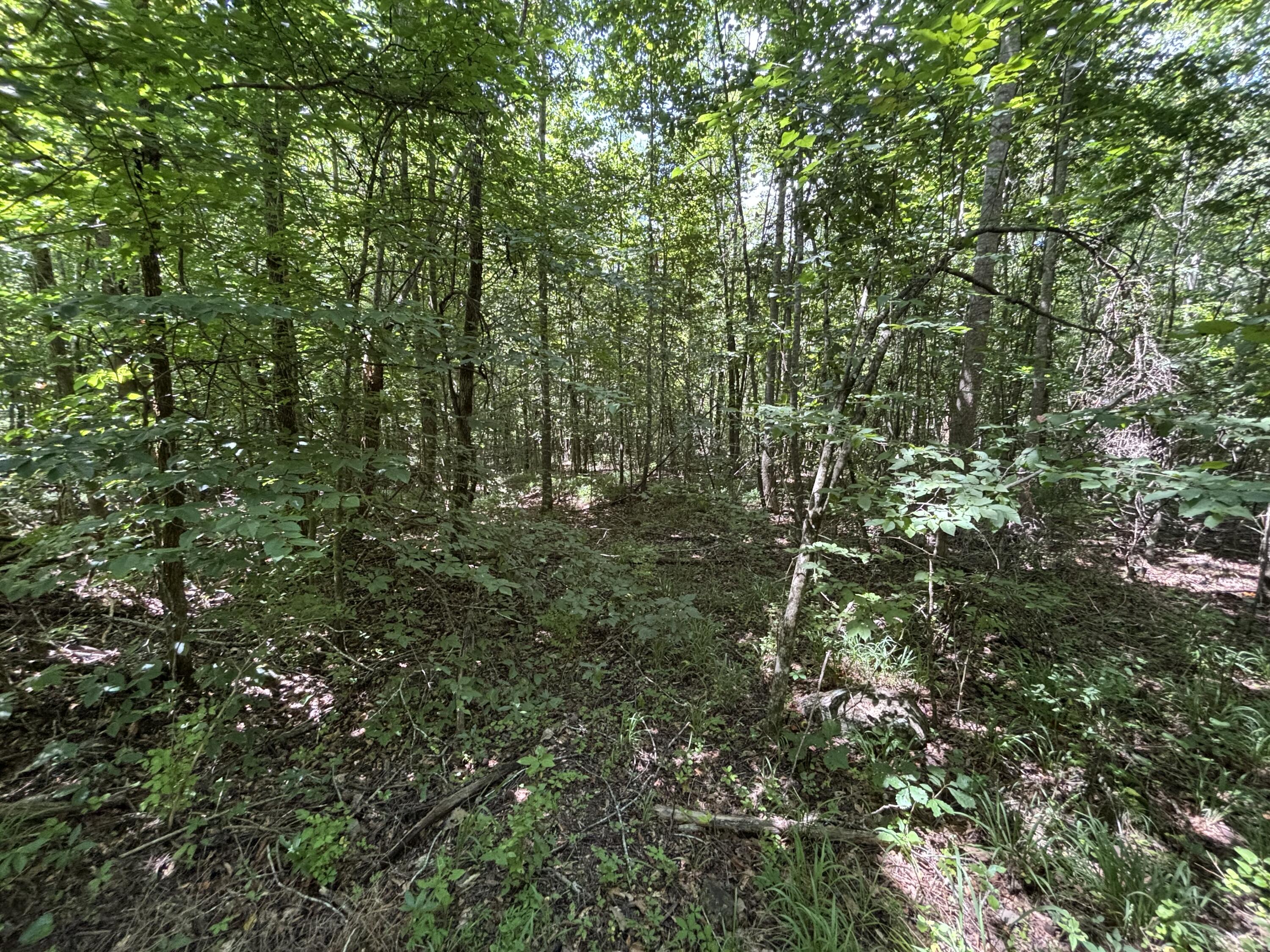 1 Mullins Cove Road Jasper, TN 37347 - Photo 12 of 24 Photo Jul 18 2025, 12 24 55 PM