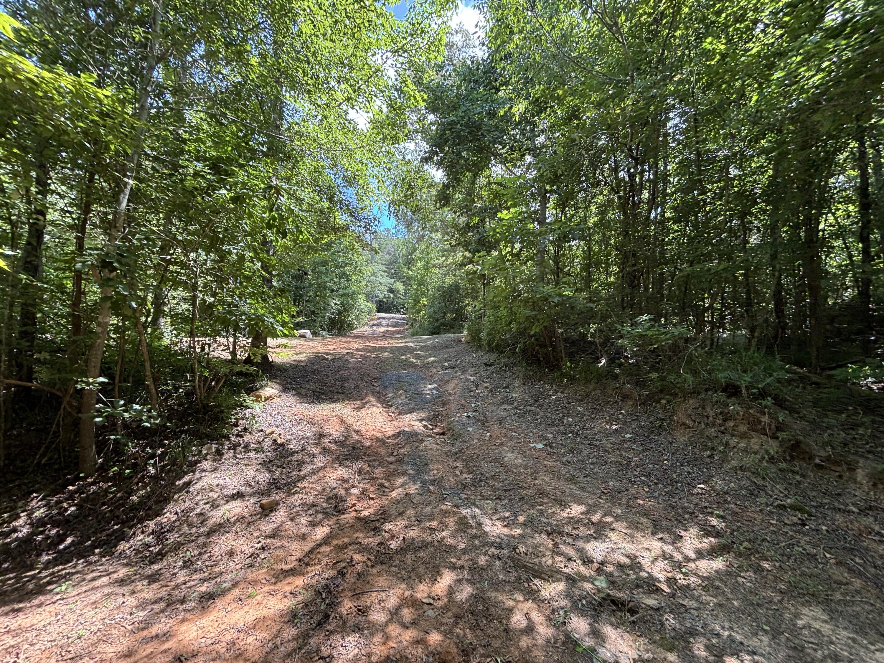 1 Mullins Cove Road Jasper, TN 37347 - Photo 14 of 24 Photo Jul 18 2025, 12 26 01 PM