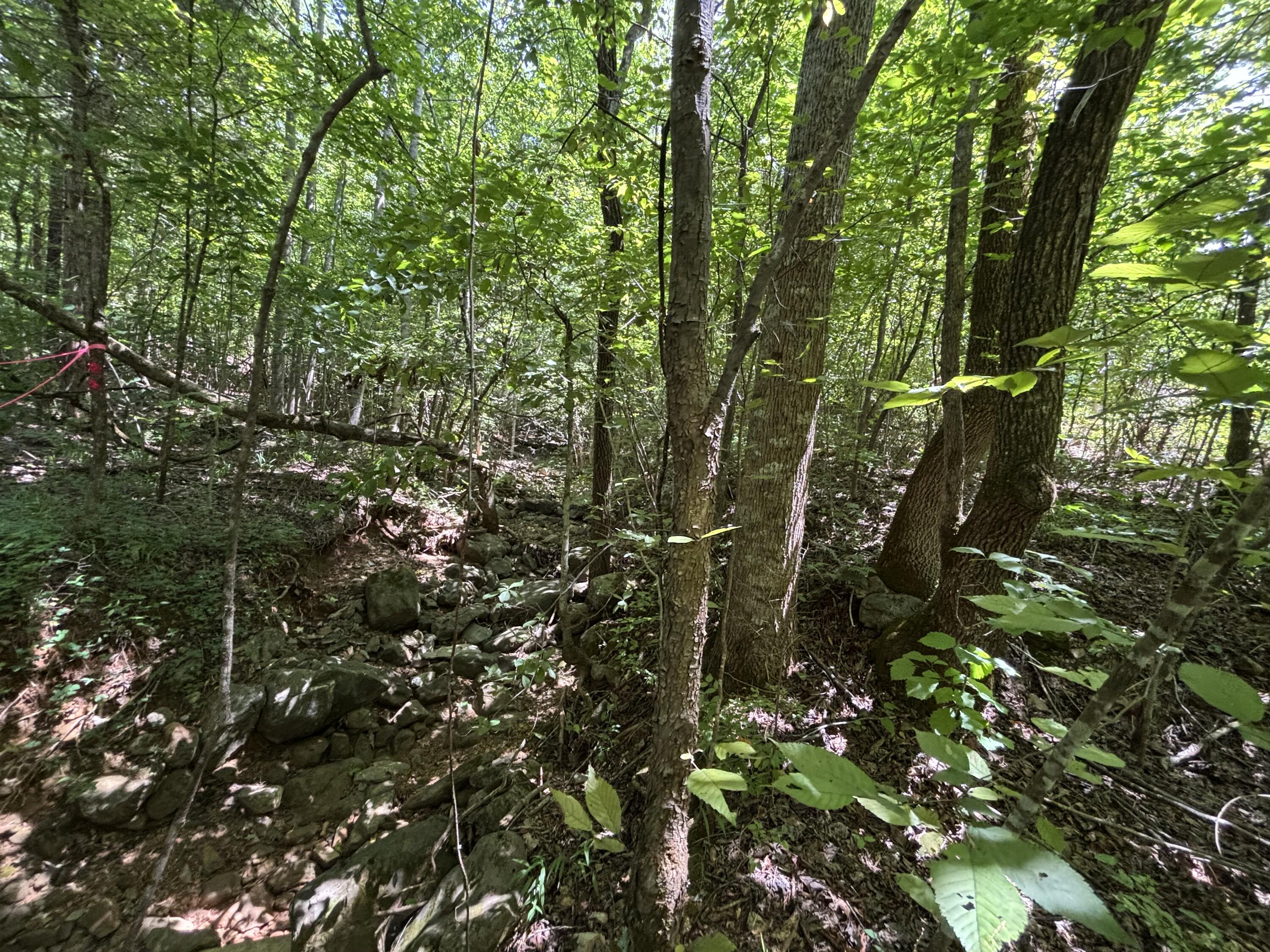 1 Mullins Cove Road Jasper, TN 37347 - Photo 18 of 24 Photo Jul 18 2025, 12 26 41 PM