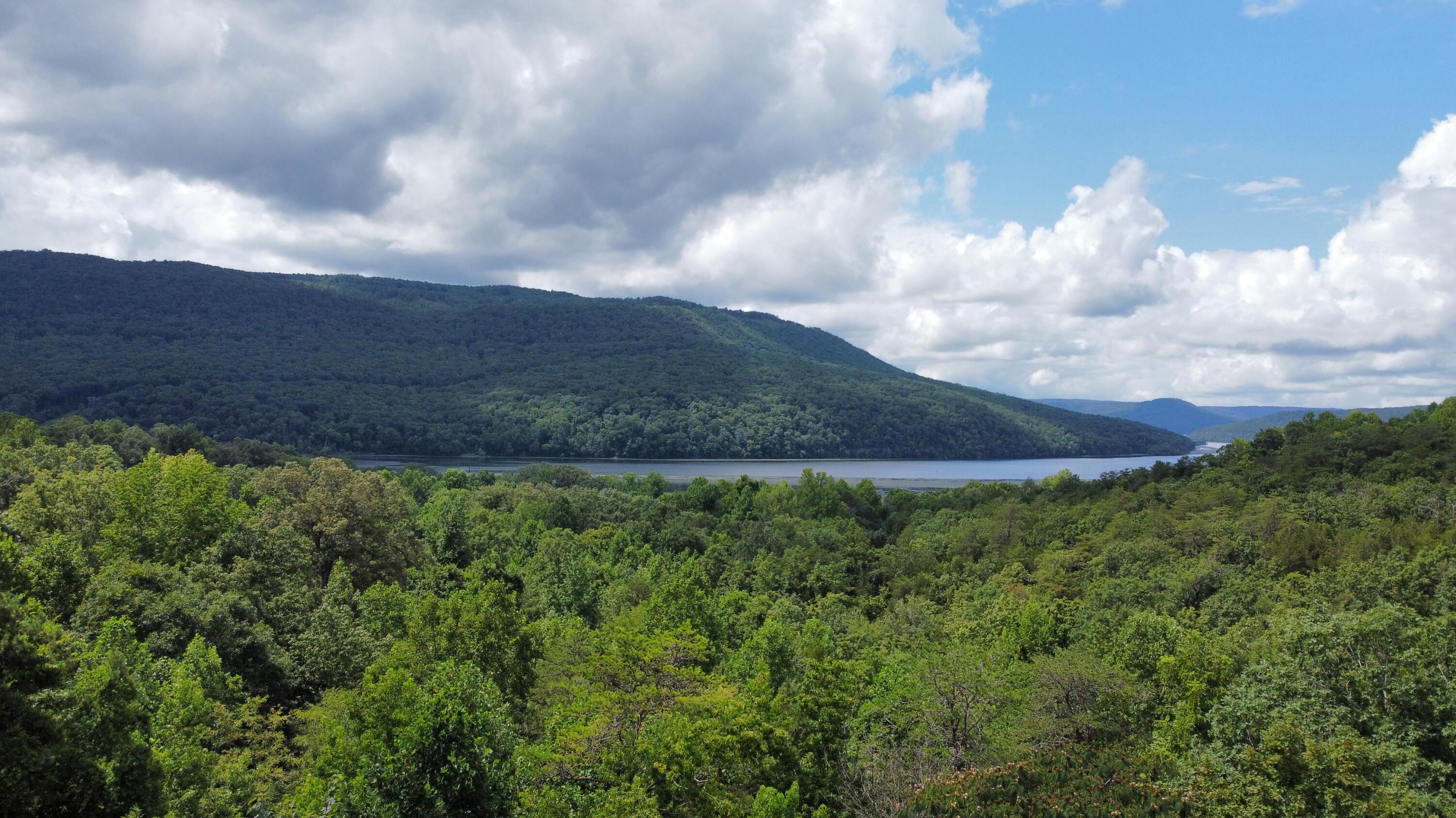 1 Mullins Cove Road Jasper, TN 37347 - Photo 20 of 24 Photo Jul 18 2025, 2 26 22 PM (1)