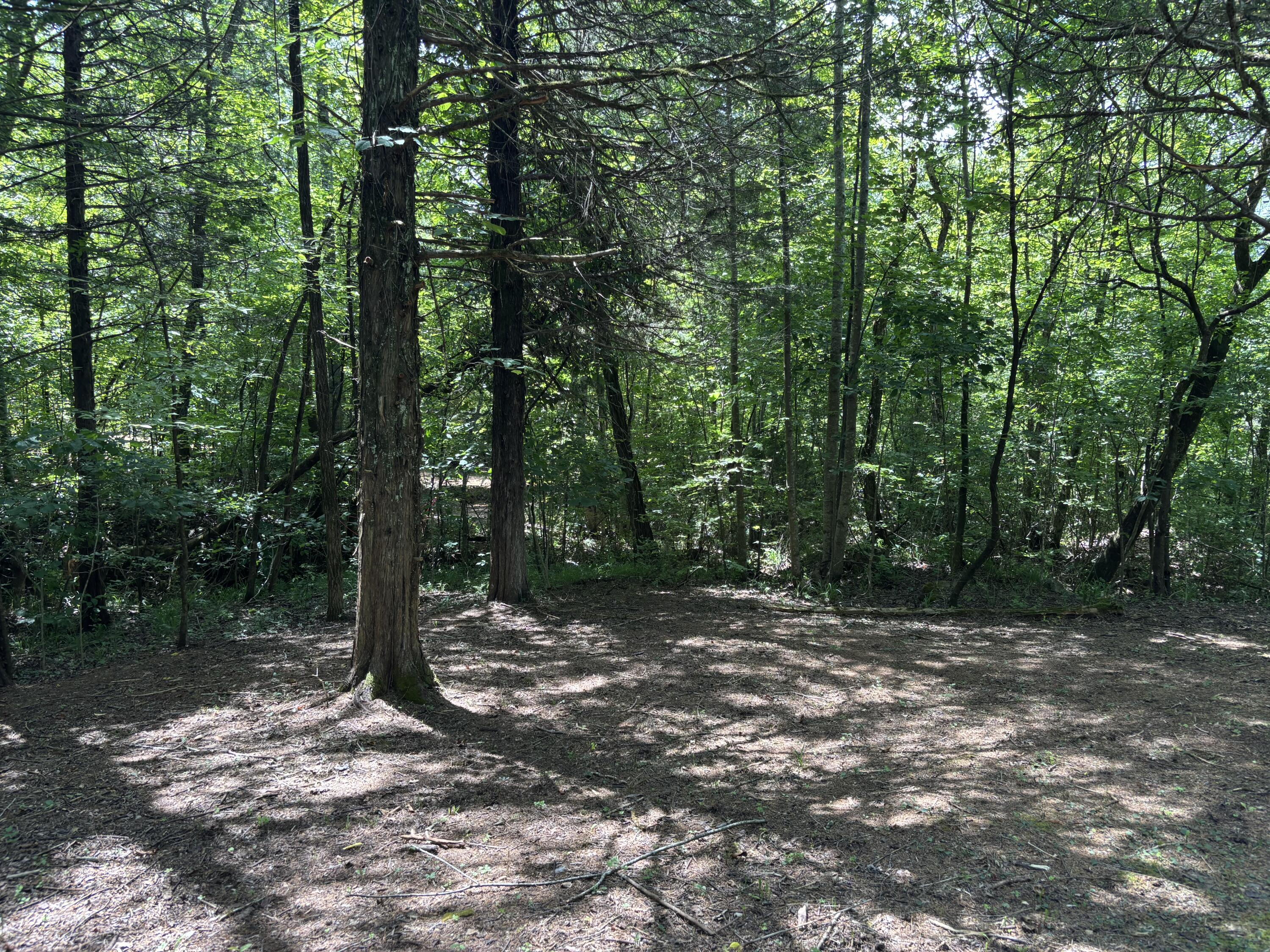 1 Mullins Cove Road Jasper, TN 37347 - Photo 2 of 24 Photo Jul 18 2025, 12 17 26 PM