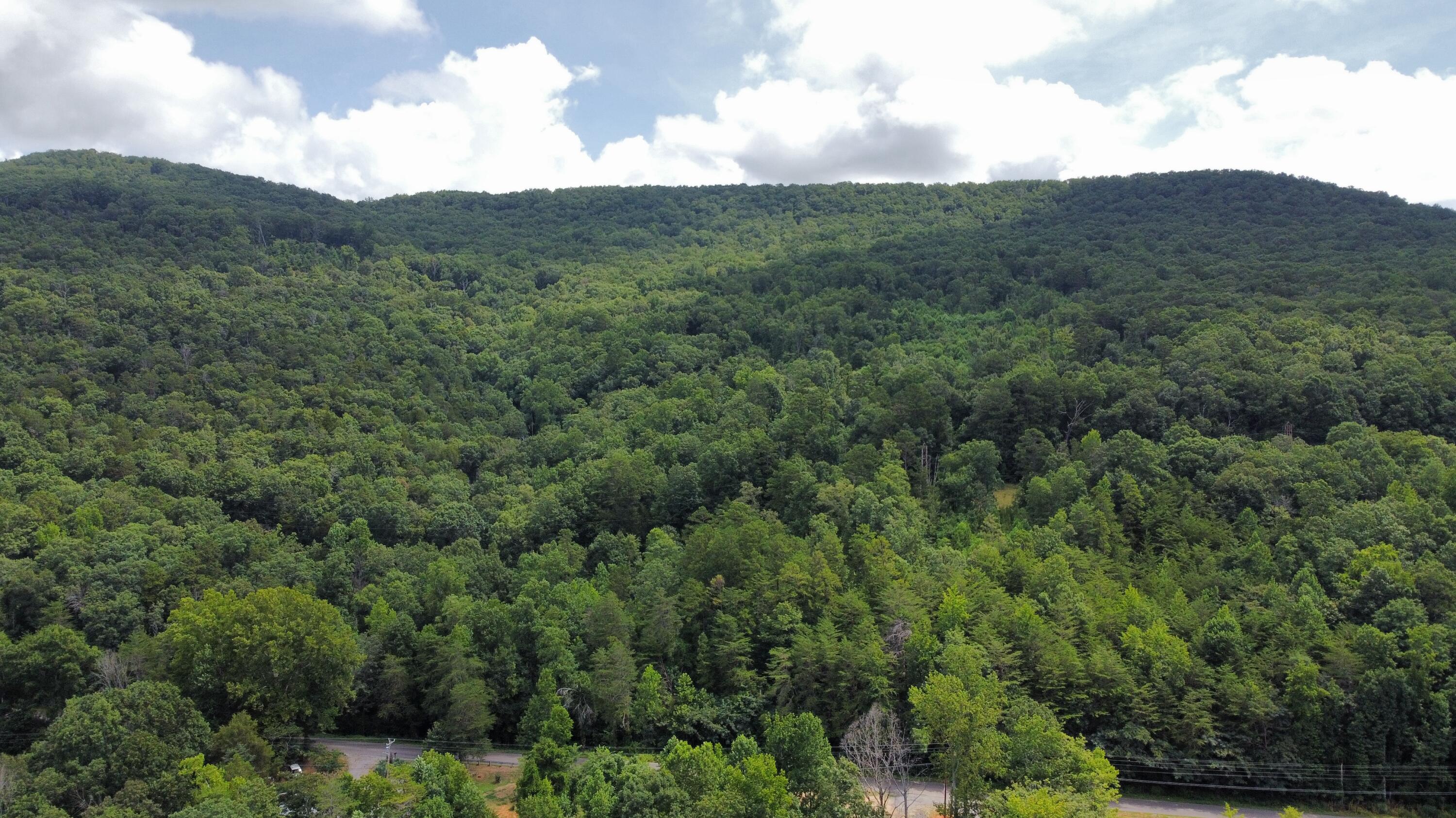 1 Mullins Cove Road Jasper, TN 37347 - Photo 23 of 24 Photo Jul 18 2025, 2 26 22 PM (10)