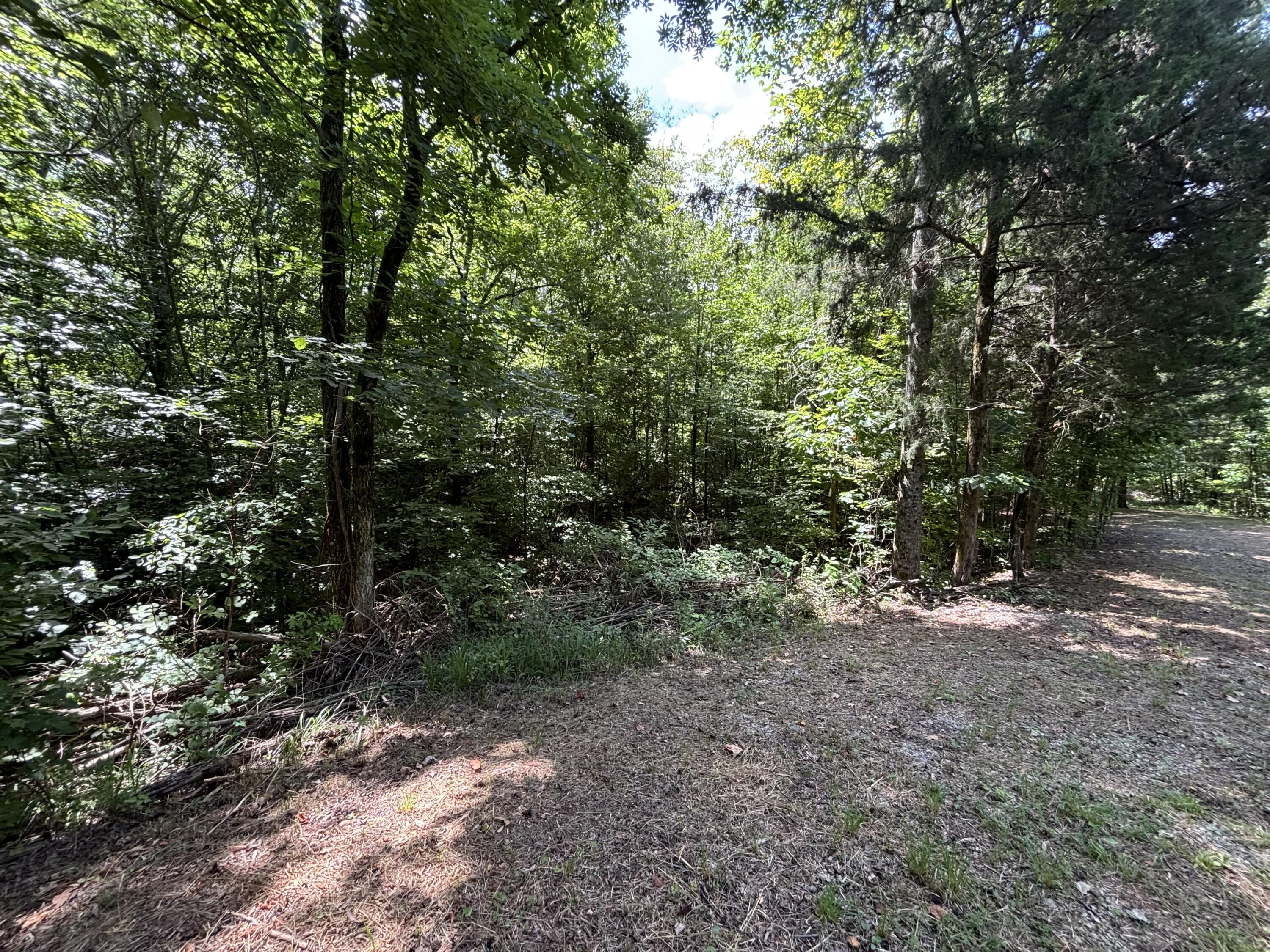 1 Mullins Cove Road Jasper, TN 37347 - Photo 3 of 24 Photo Jul 18 2025, 12 16 18 PM