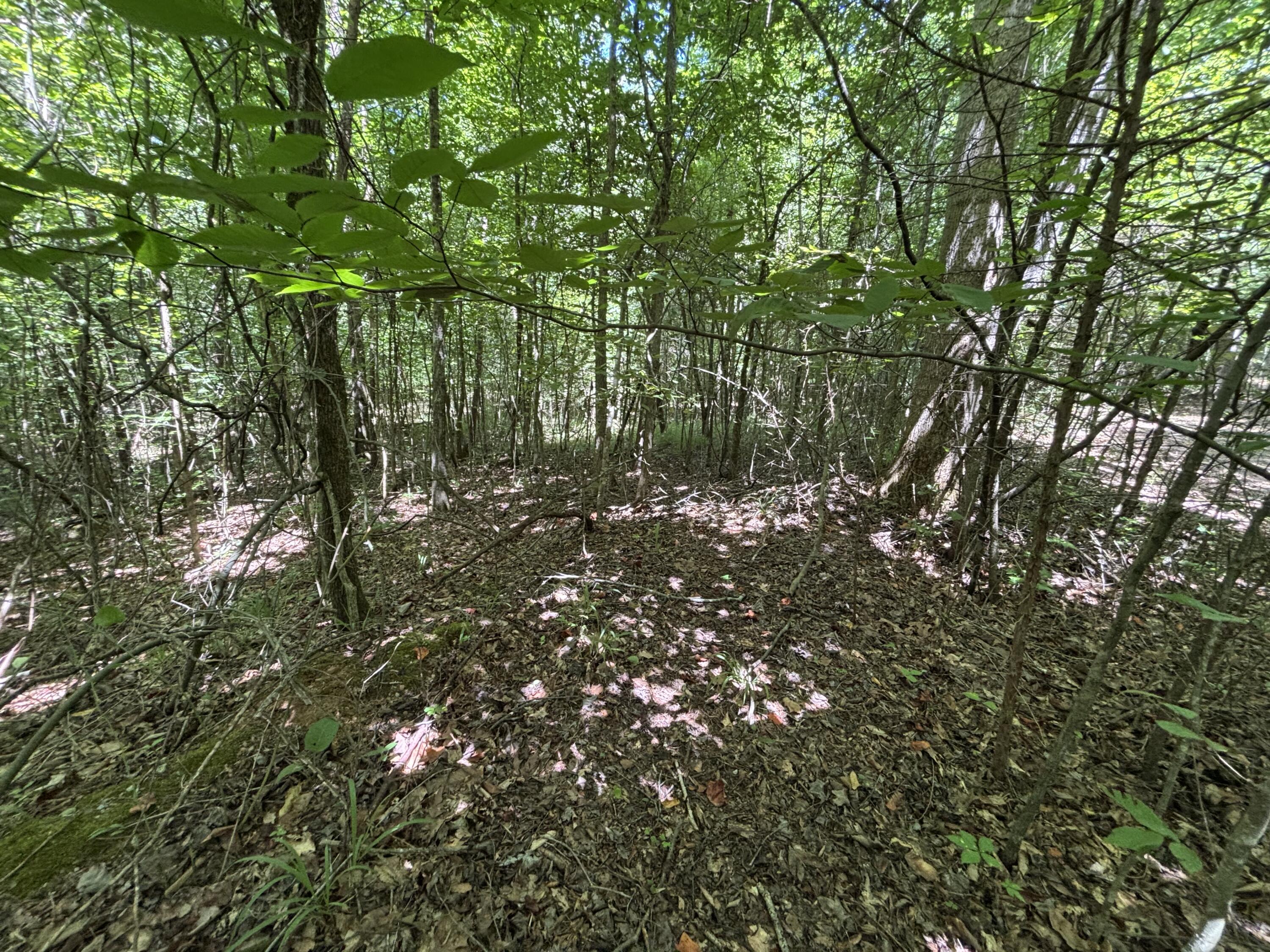 1 Mullins Cove Road Jasper, TN 37347 - Photo 8 of 24 Photo Jul 18 2025, 12 23 26 PM