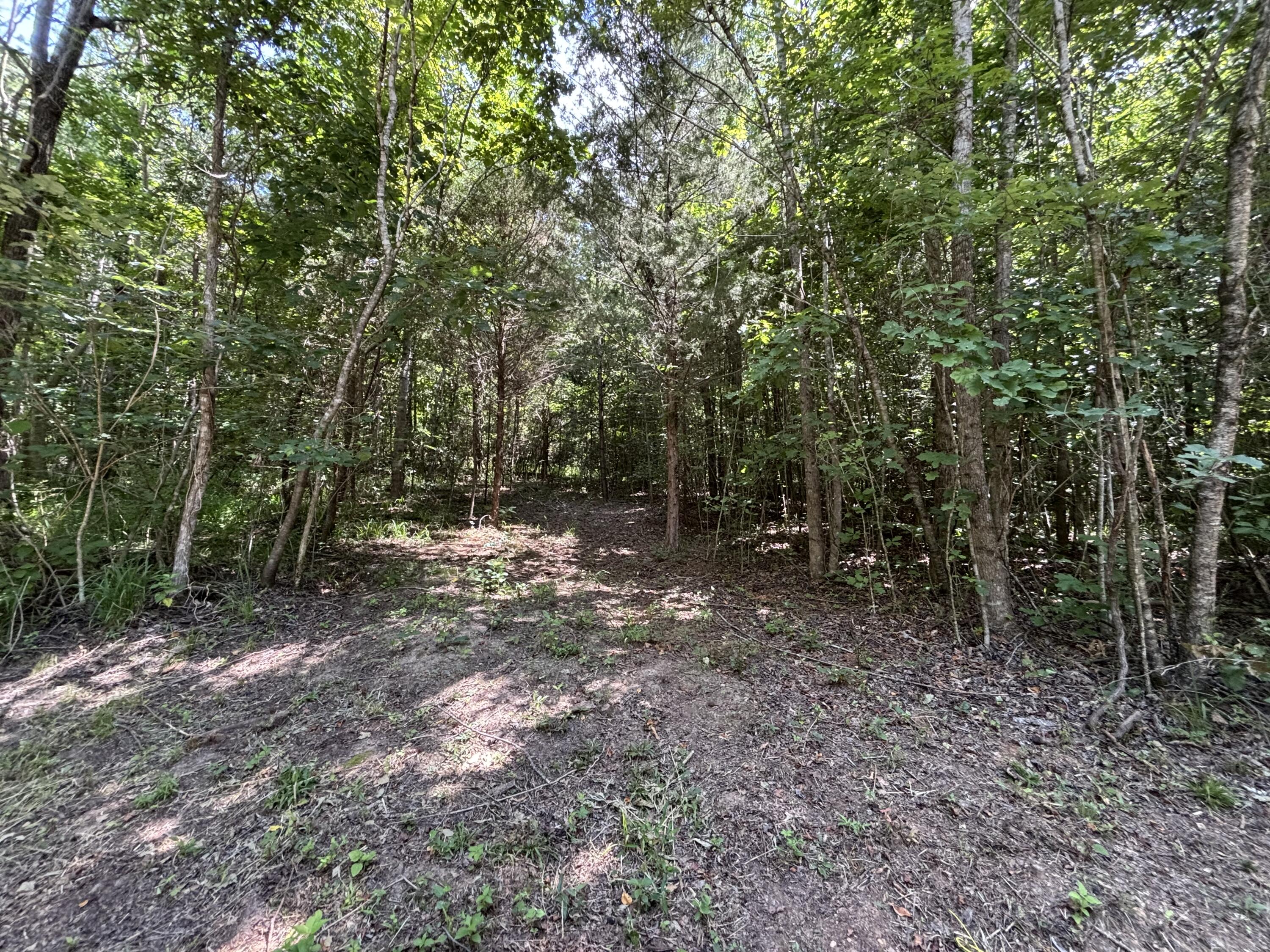 1 Mullins Cove Road Jasper, TN 37347 - Photo 9 of 24 Photo Jul 18 2025, 12 24 12 PM