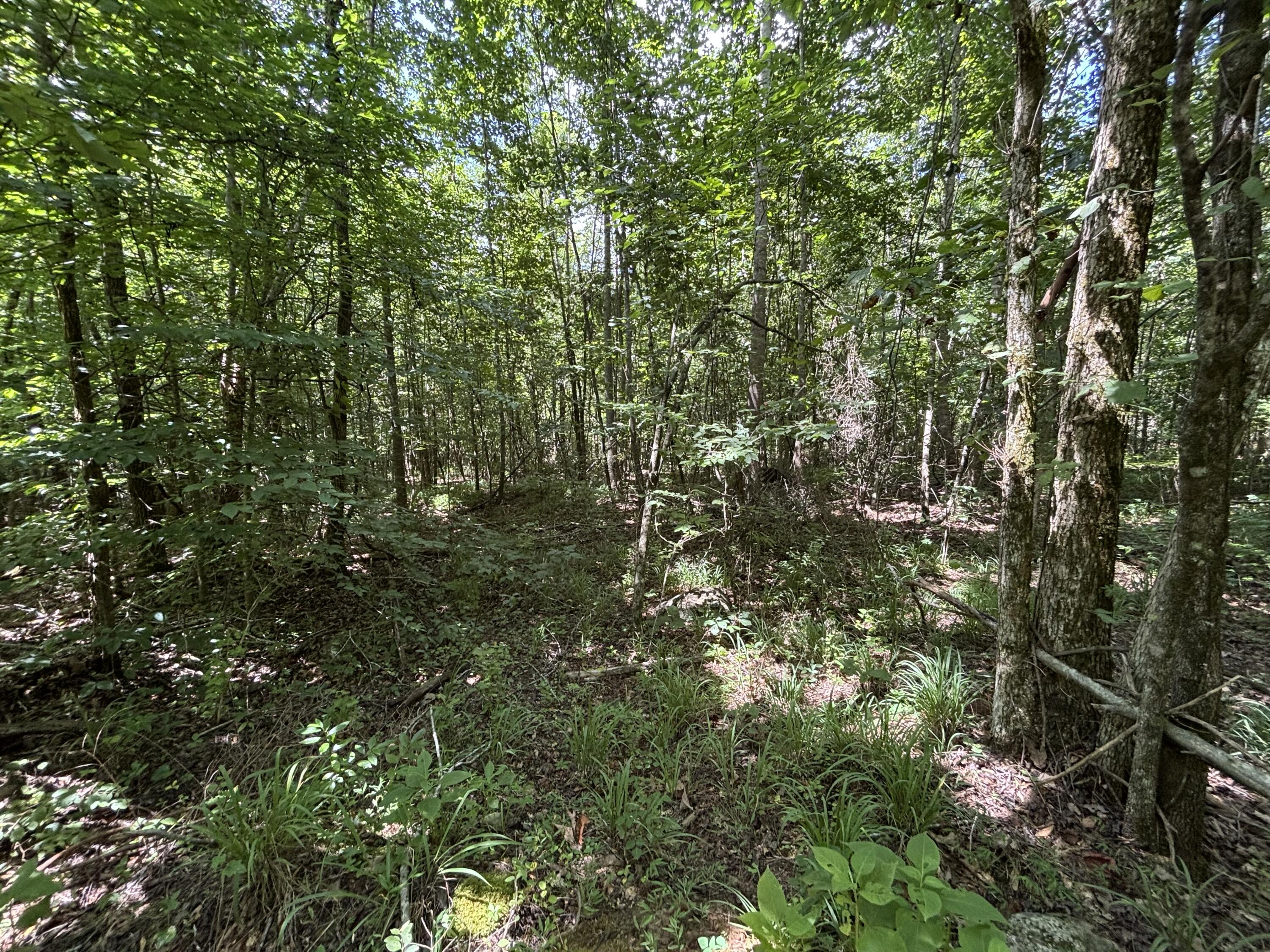 1 Mullins Cove Road Jasper, TN 37347 - Photo 10 of 24 Photo Jul 18 2025, 12 24 41 PM