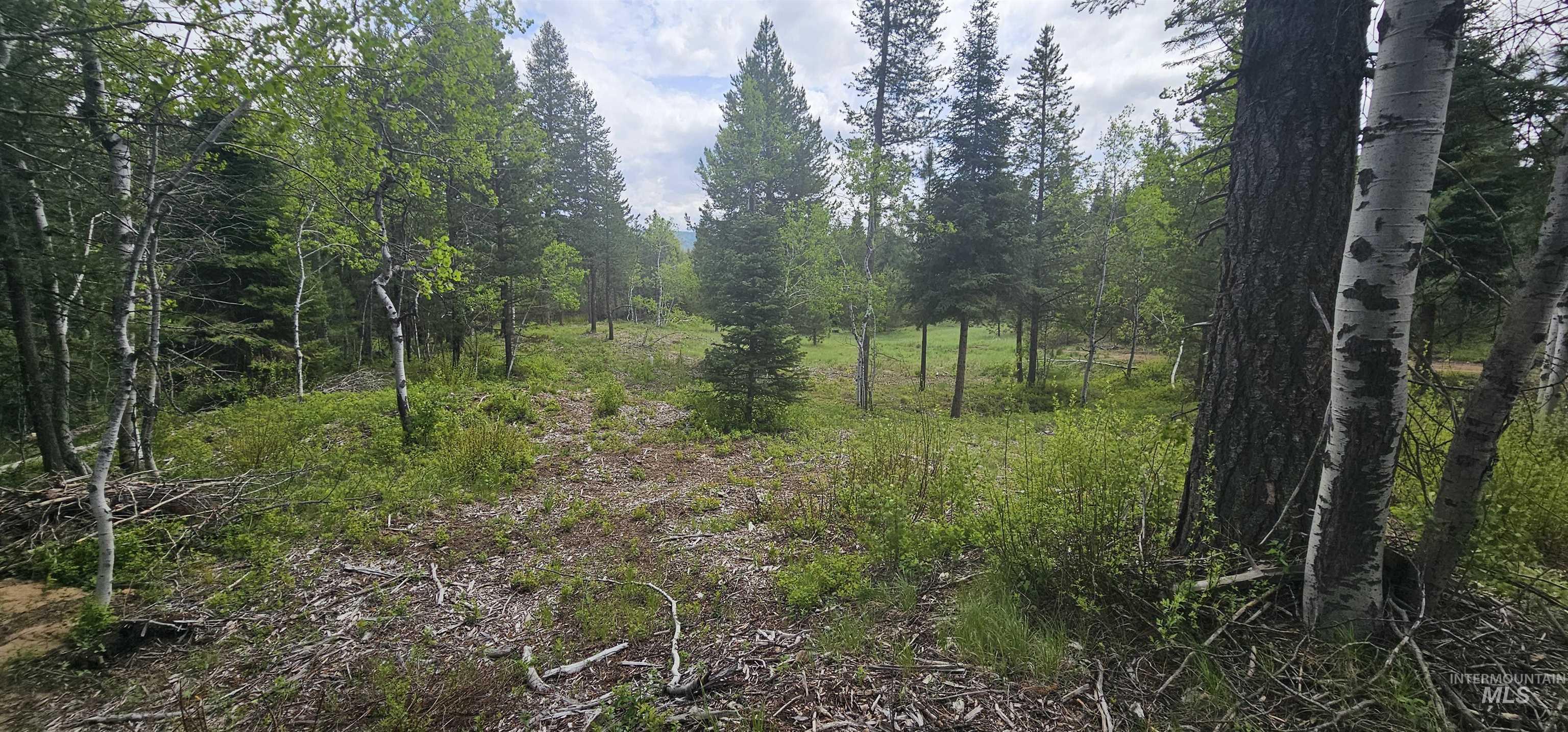 23 Sawtooth Loop Cascade, ID 83611 - Photo 14 of 45
