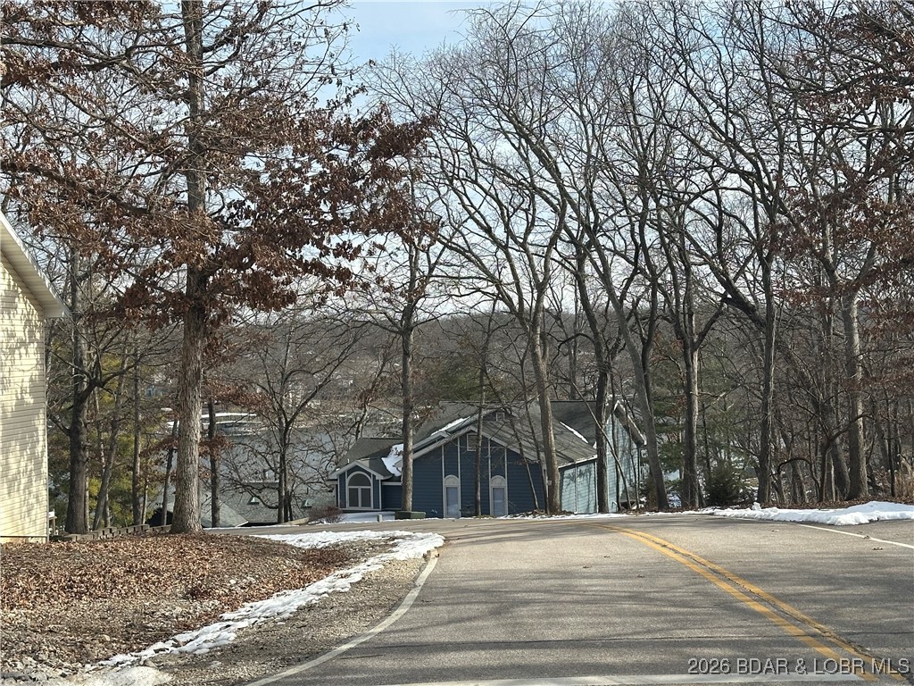 Lot 157 Anemone Road Four Seasons, MO 65049 - Photo 4 of 4 Lakeview Directly Across the Street.