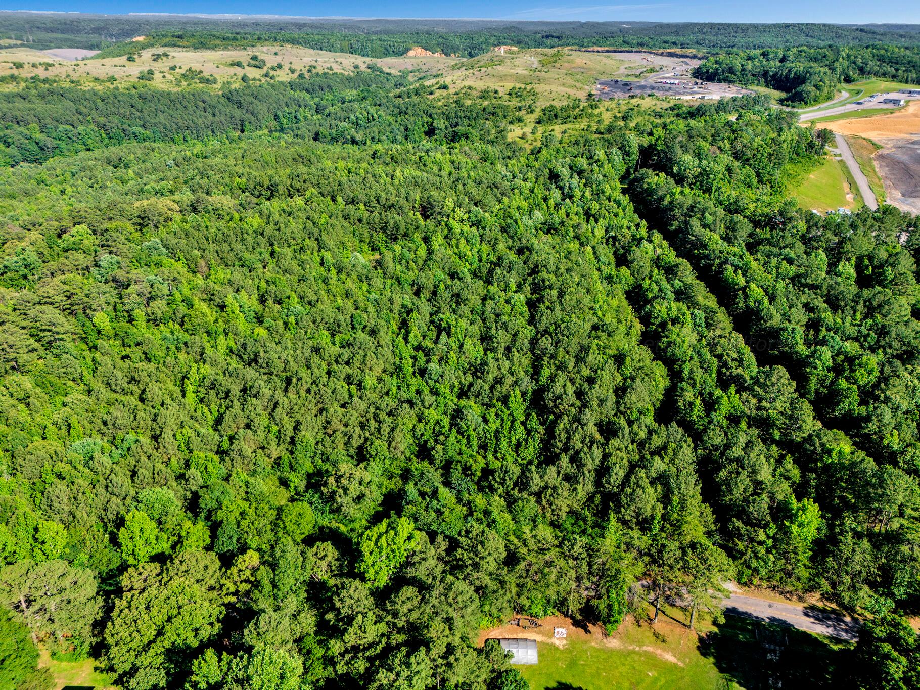 4290 Woodruff Road Adamsville, AL 35005 - Photo 4 of 20 Aerial View