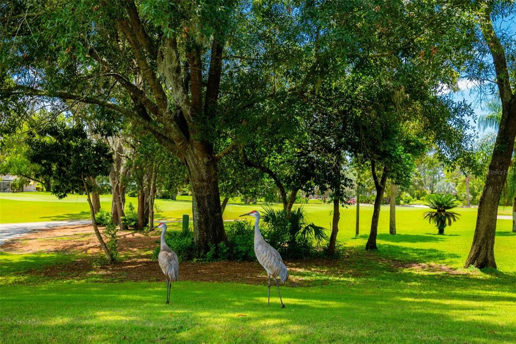 9322 Seve Court Weeki Wachee, FL 34613 - Photo 18 of 75