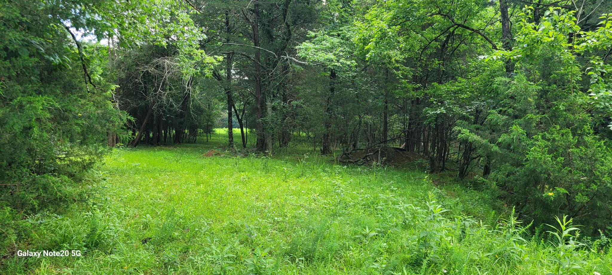 1 Clem Creek Road Chapel Hill, TN 37034 - Photo 3 of 12