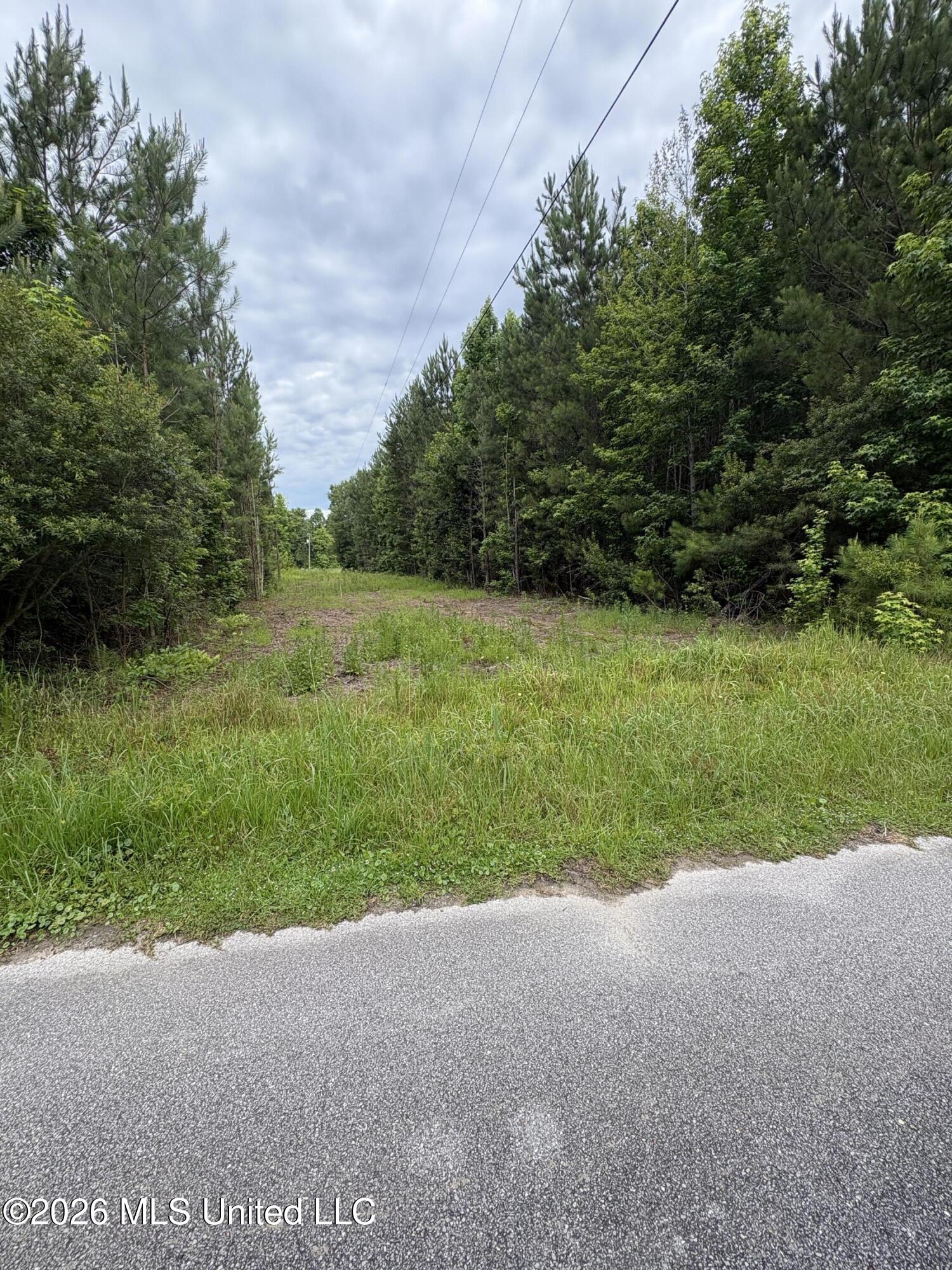 2517 Will Kibby Road Moss Point, MS 39562 - Photo 14 of 15 IMG_4451