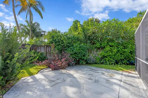 a view of a garden with plants and large trees
