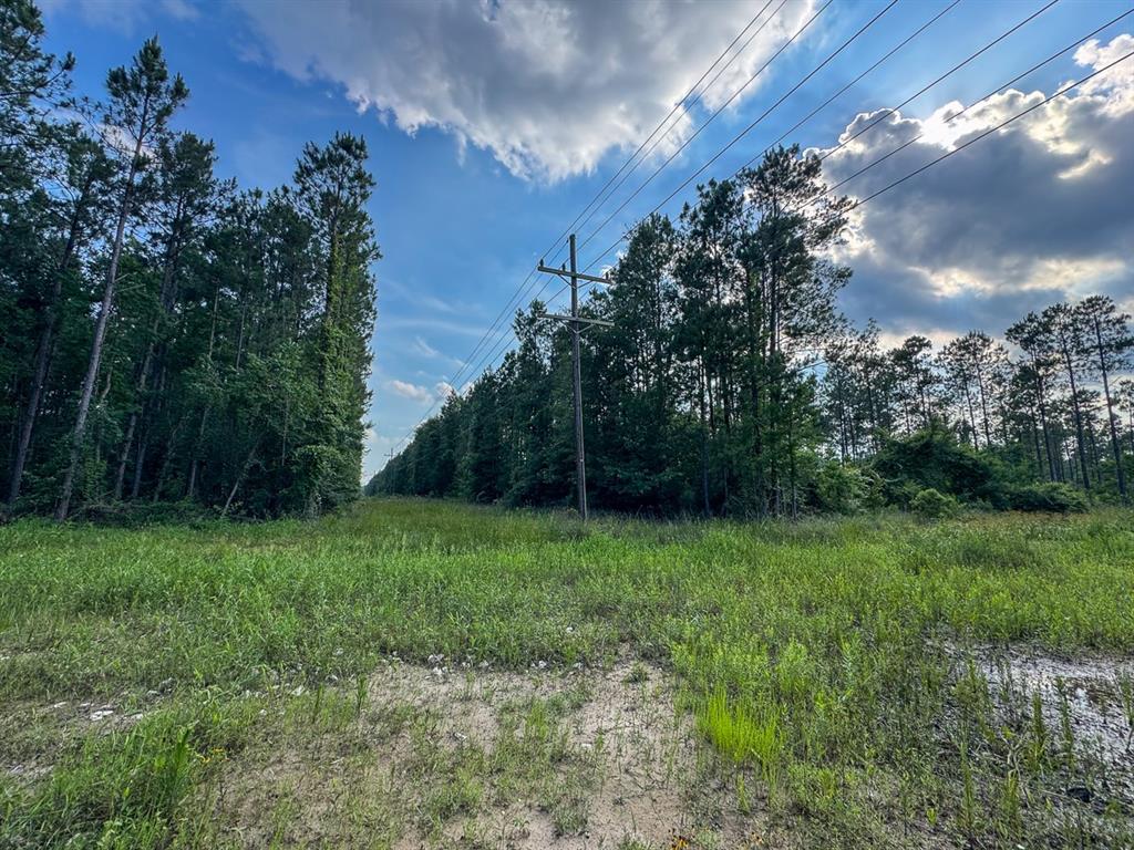 0 Highway 165 Kinder, LA 70648 - Photo 6 of 11